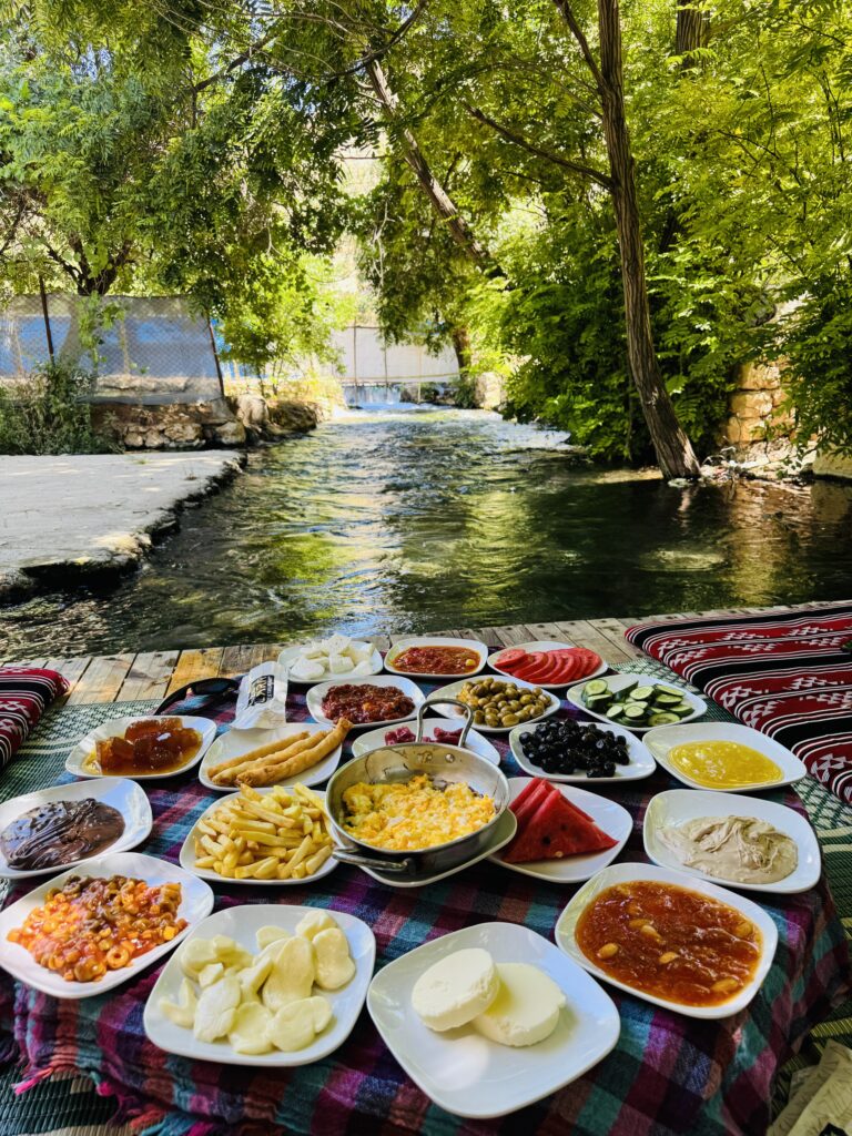 Yöresel Peynirler ve Taze Bazlamalarla Beyazsu Kahvaltı Rehberi